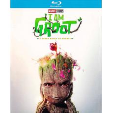 TM-R1484F I Am Groot Season 2 (2023)【BD】...